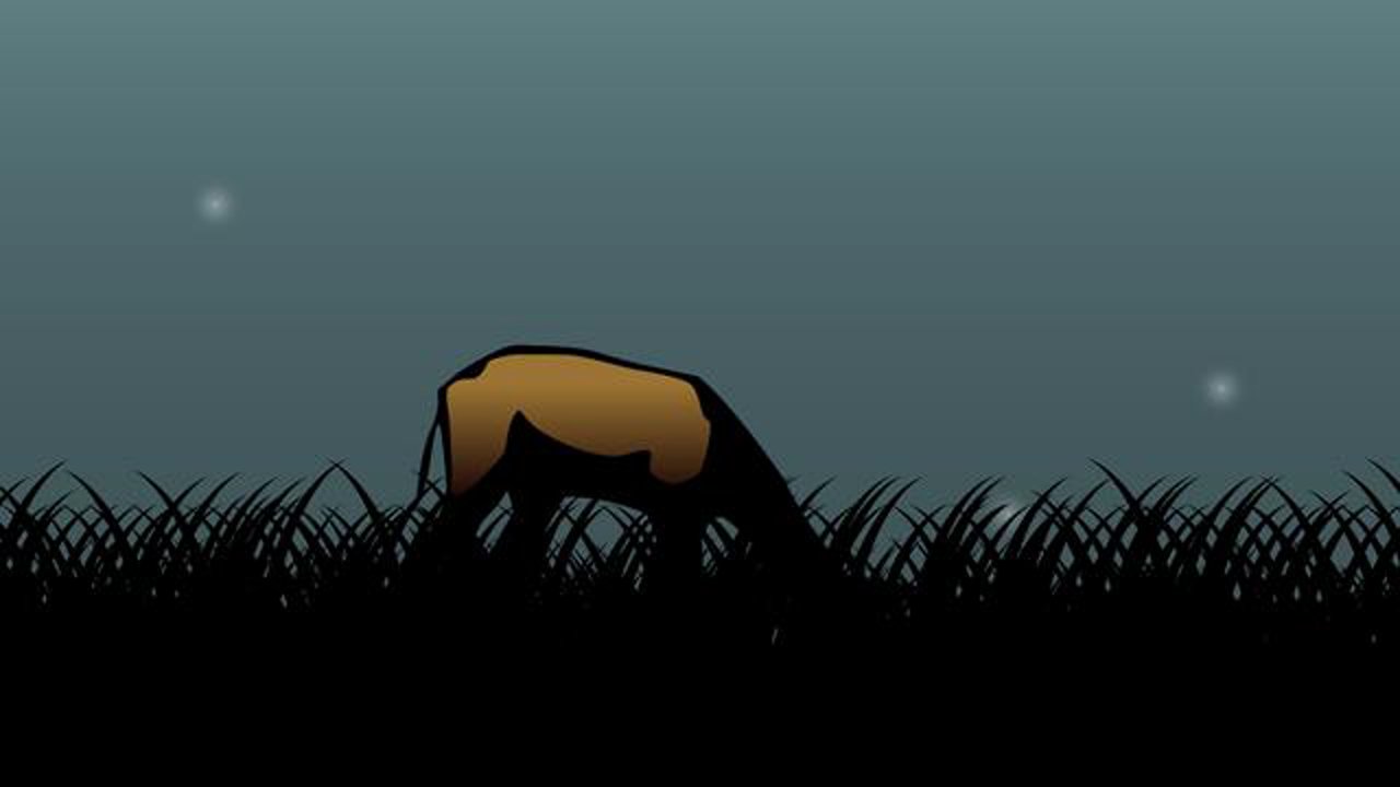 Lyon Collective Intro Animation Blue Version