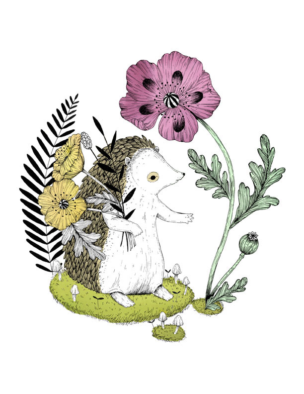 MarikaPazHedgehogKR.jpg