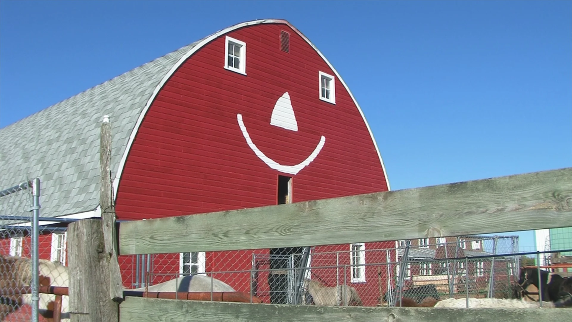 So much fun, even the barn has to smile at Erickson's Petting Zoo!