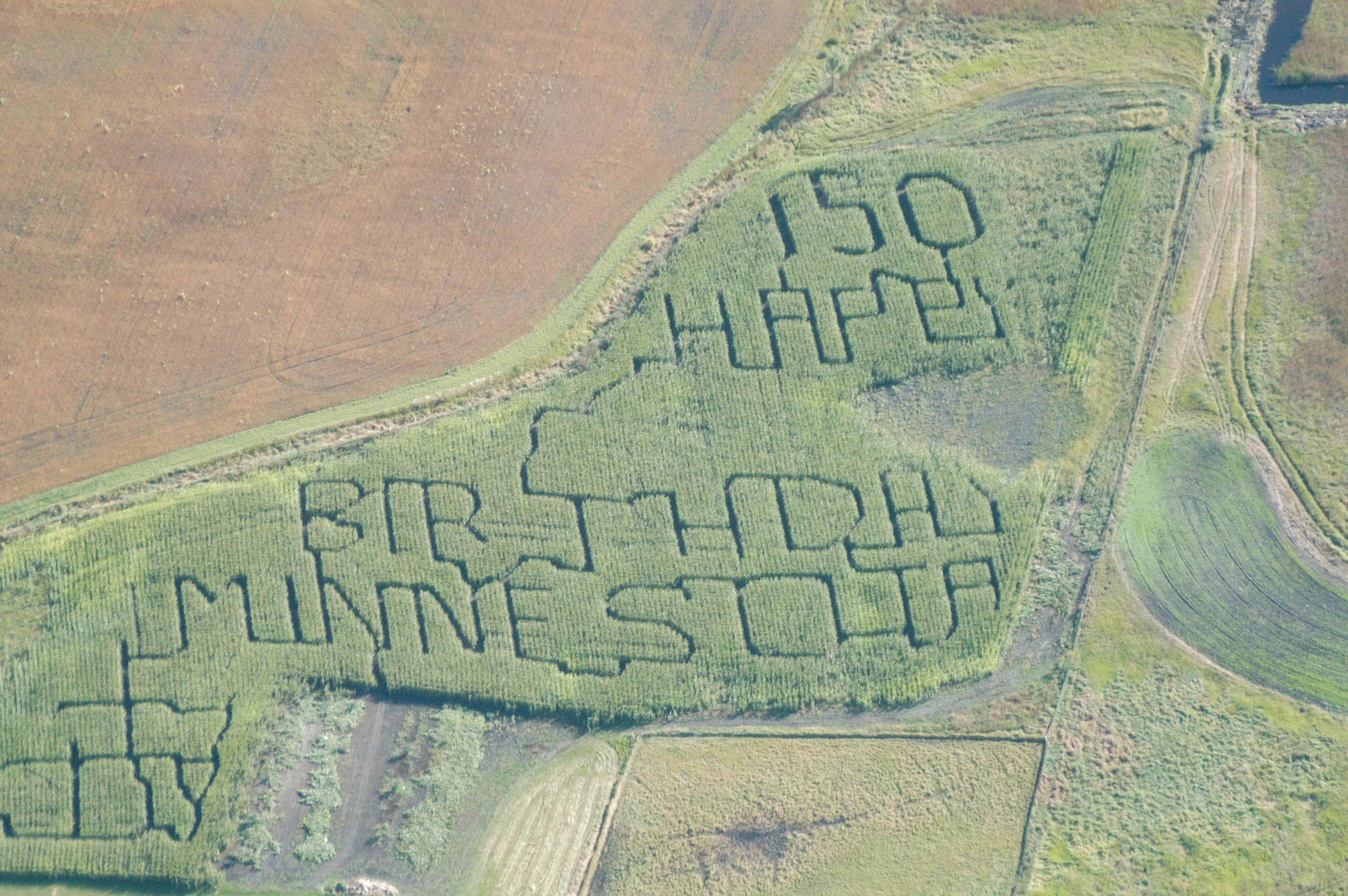 Every year there's a different maze to explore. Can you guess what year this Corn Maze photo was taken?