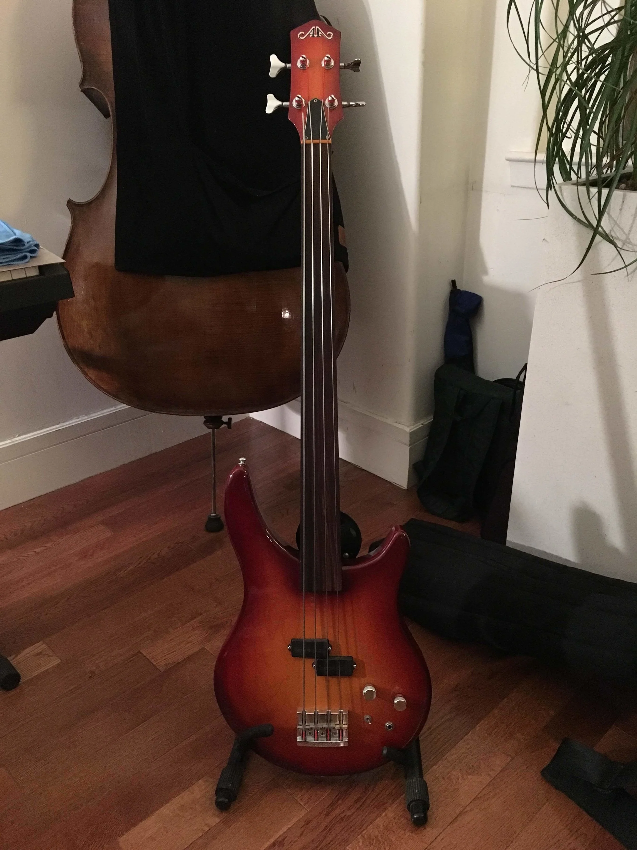 No... The Atilla bass does NOT come with the upright bass in the background!