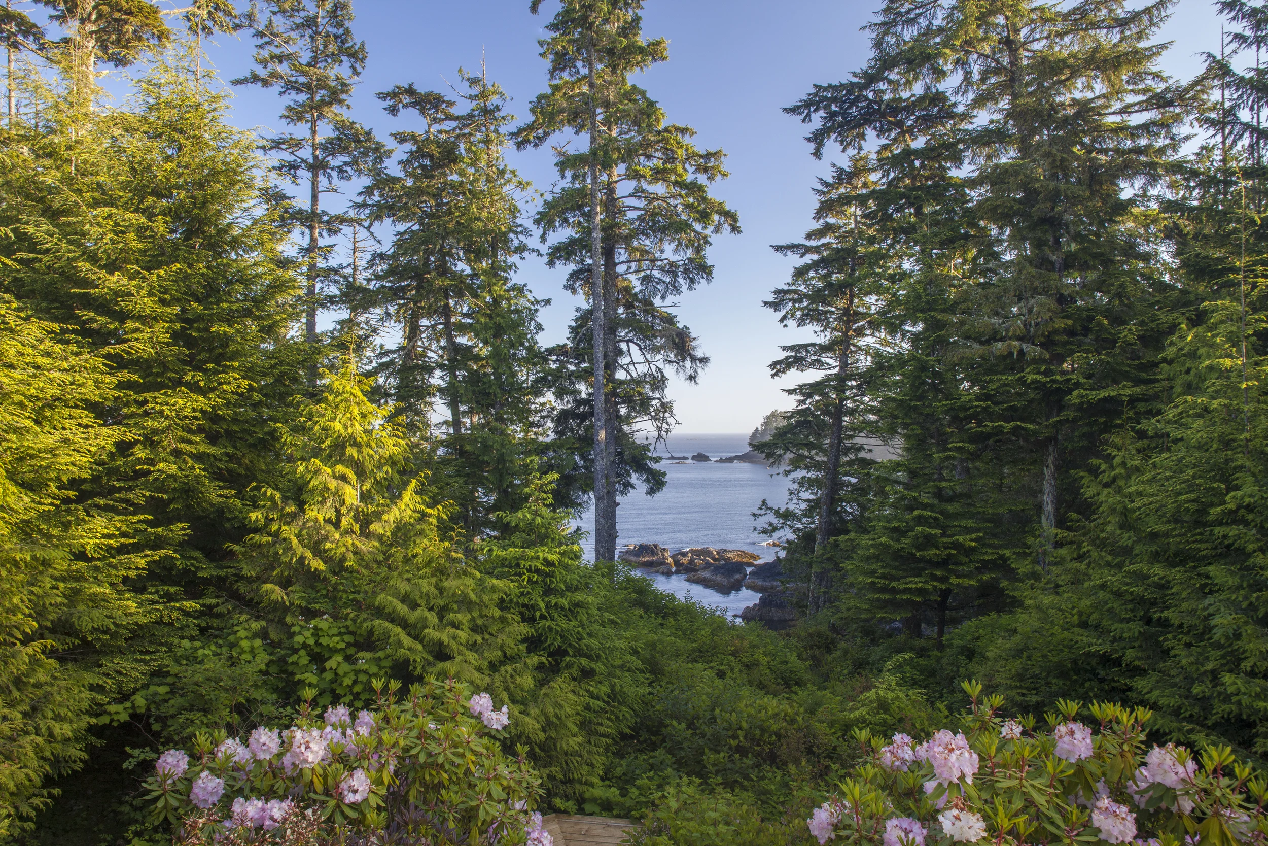 Cabin-View.jpg
