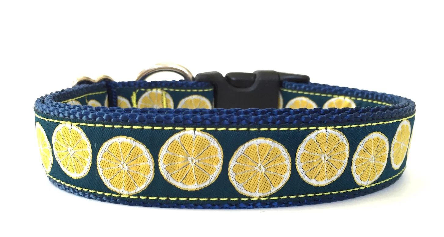 lemon dog collar