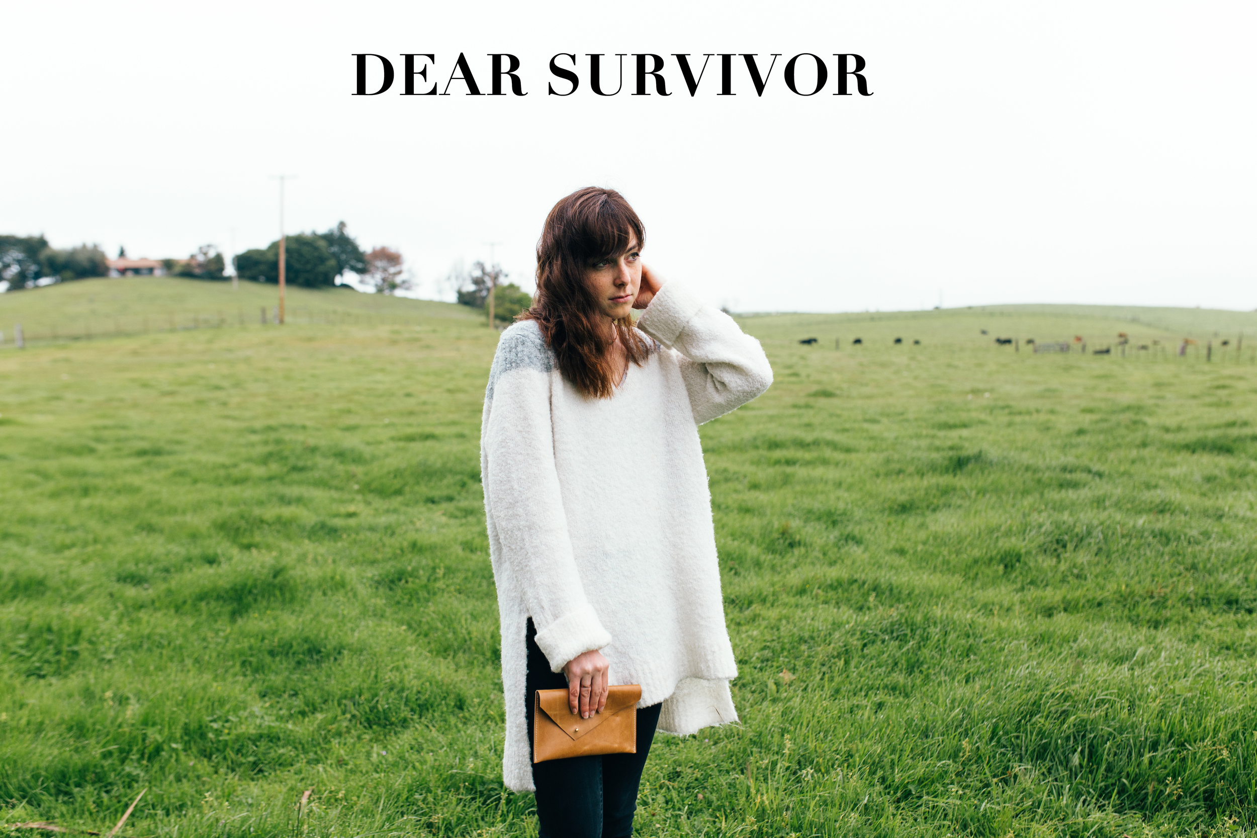 Dearsurvivorsplash-2.jpg