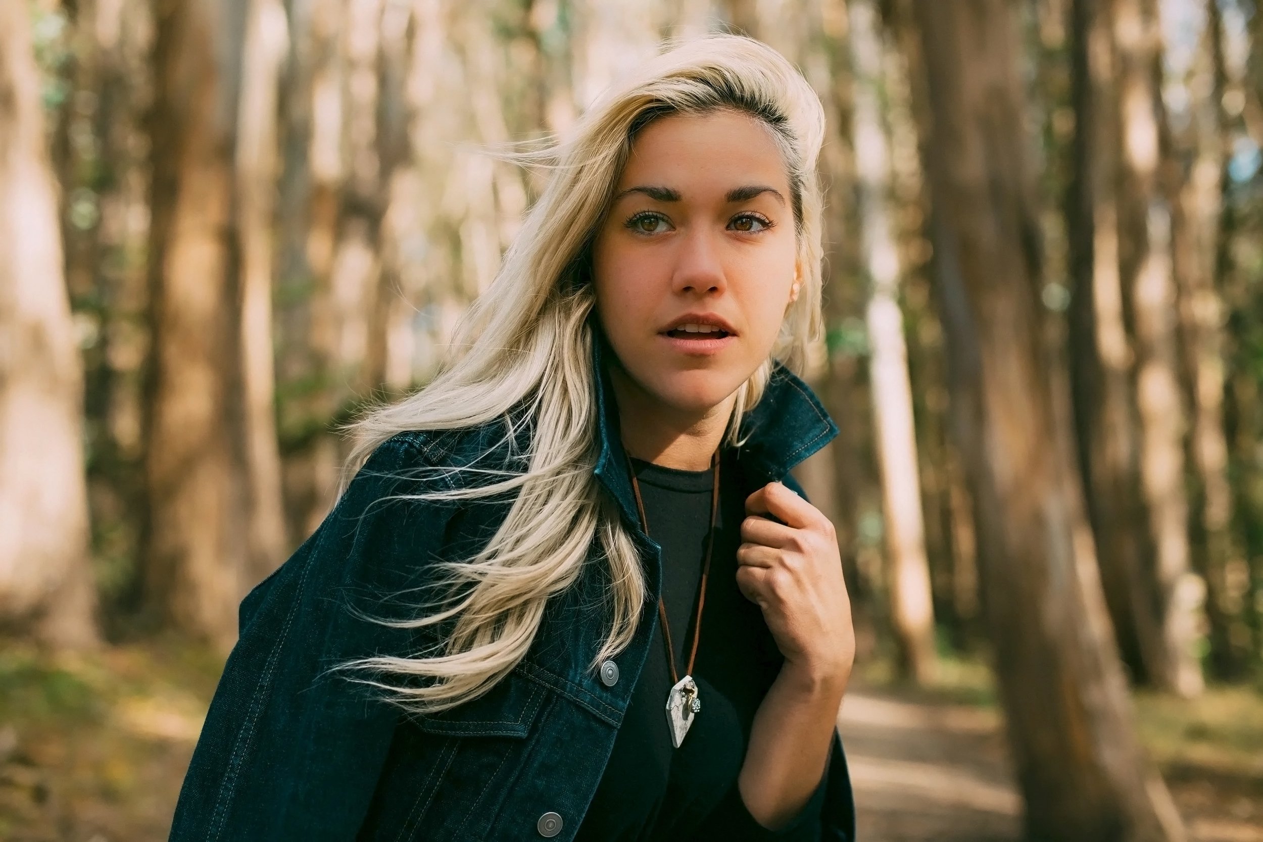 Dear survivor hero fix.jpg