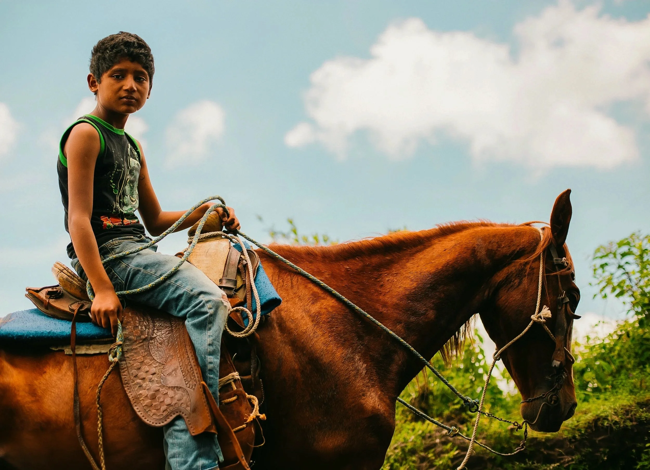 year of the horse.jpeg