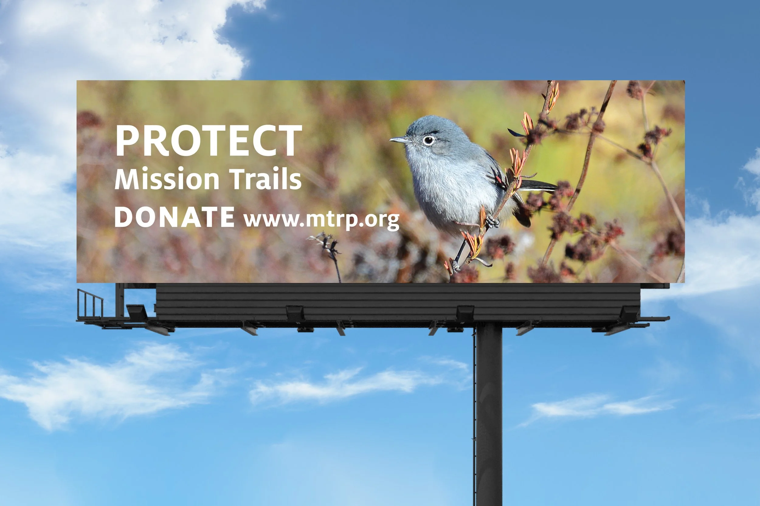 MTRP billboard bird.jpg