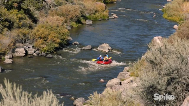 Red Robin - Off the Grid