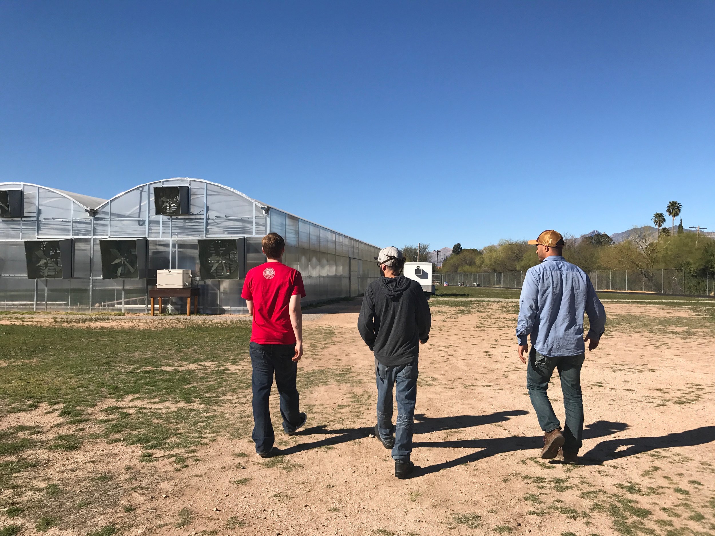 Our Greenhouse is located in Central Tucson, on the property that formerly housed Howenstine High School. Now TUSD and Merchant's Garden are collaborating to make this property also serve as a Food Education Field Trip center for Tucson Schools. 