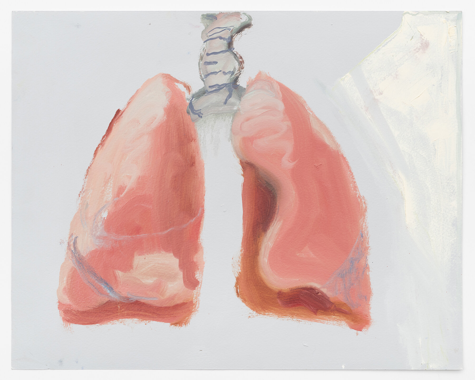 Lungs (Organic)