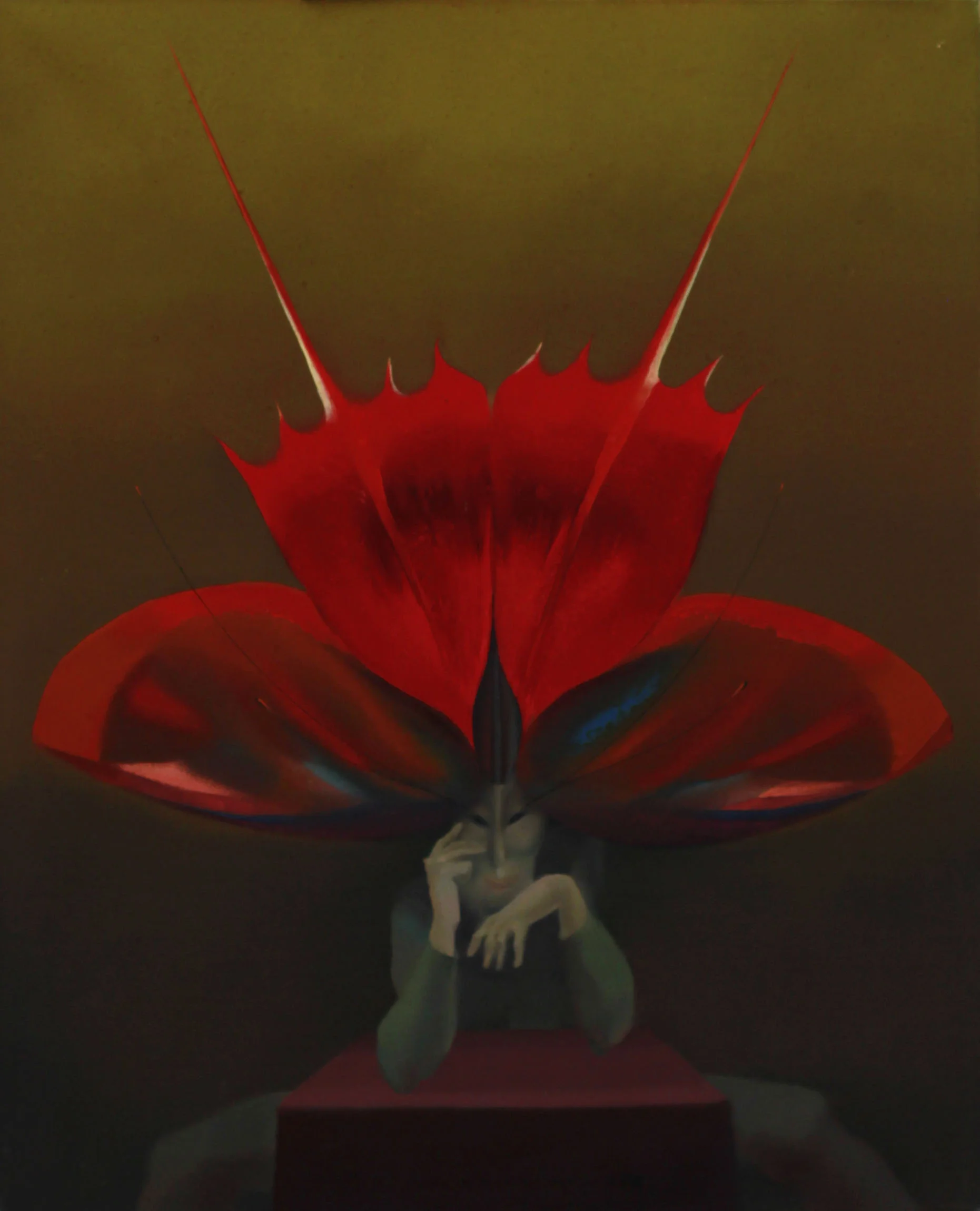 mariposa del diablo