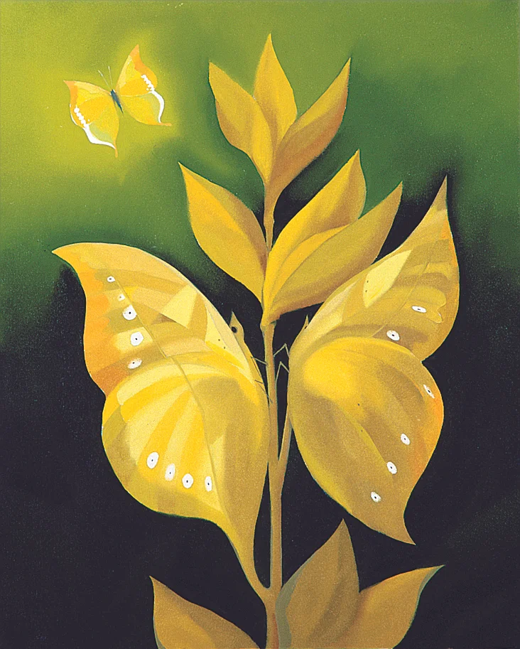 la génesis de la mariposa
