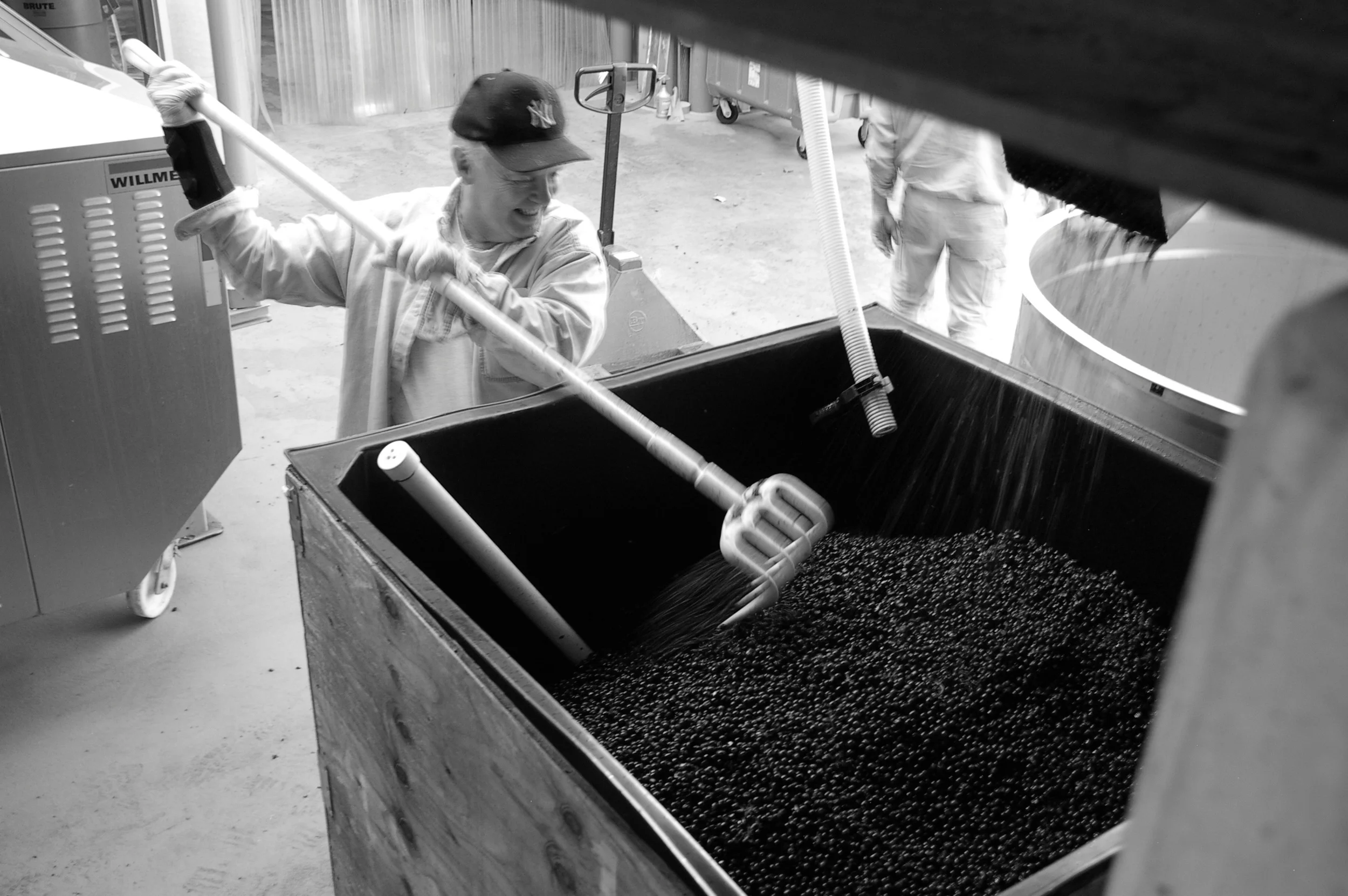 H at fermenter.jpg