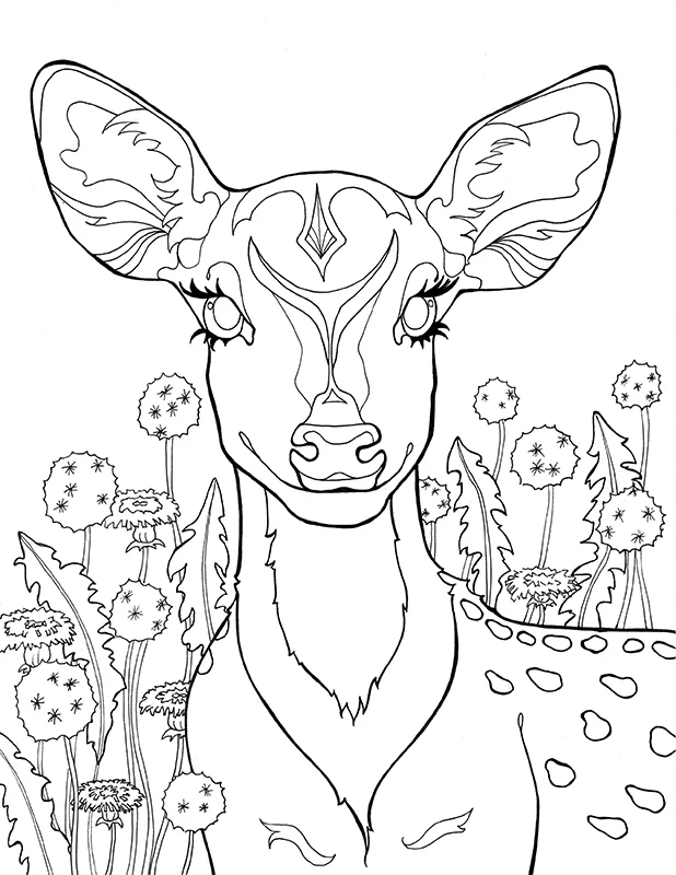 ssh_ehow deer_borderless.jpg