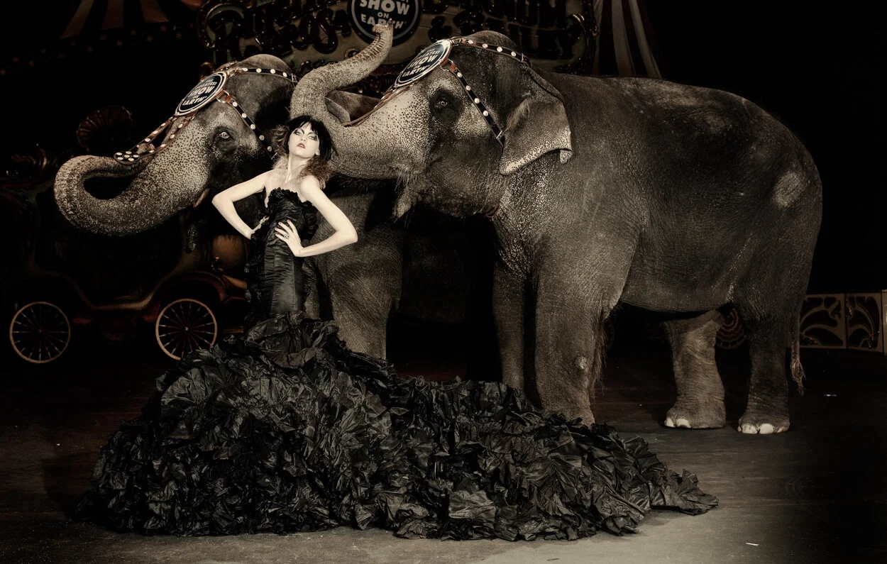 LES ELEPHANTS