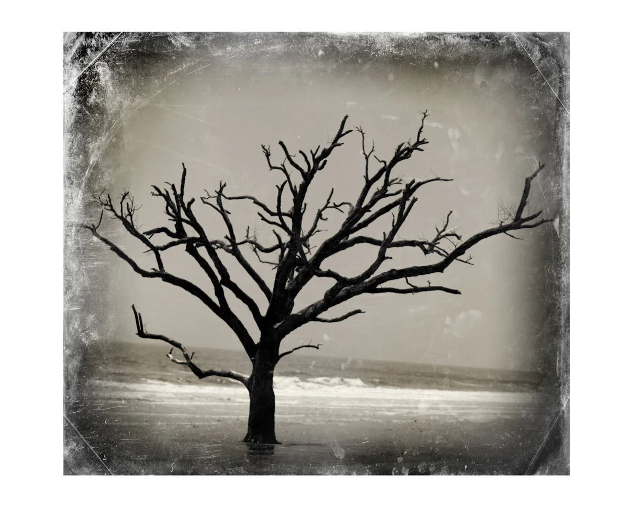 EditsoA16x20final.jpg