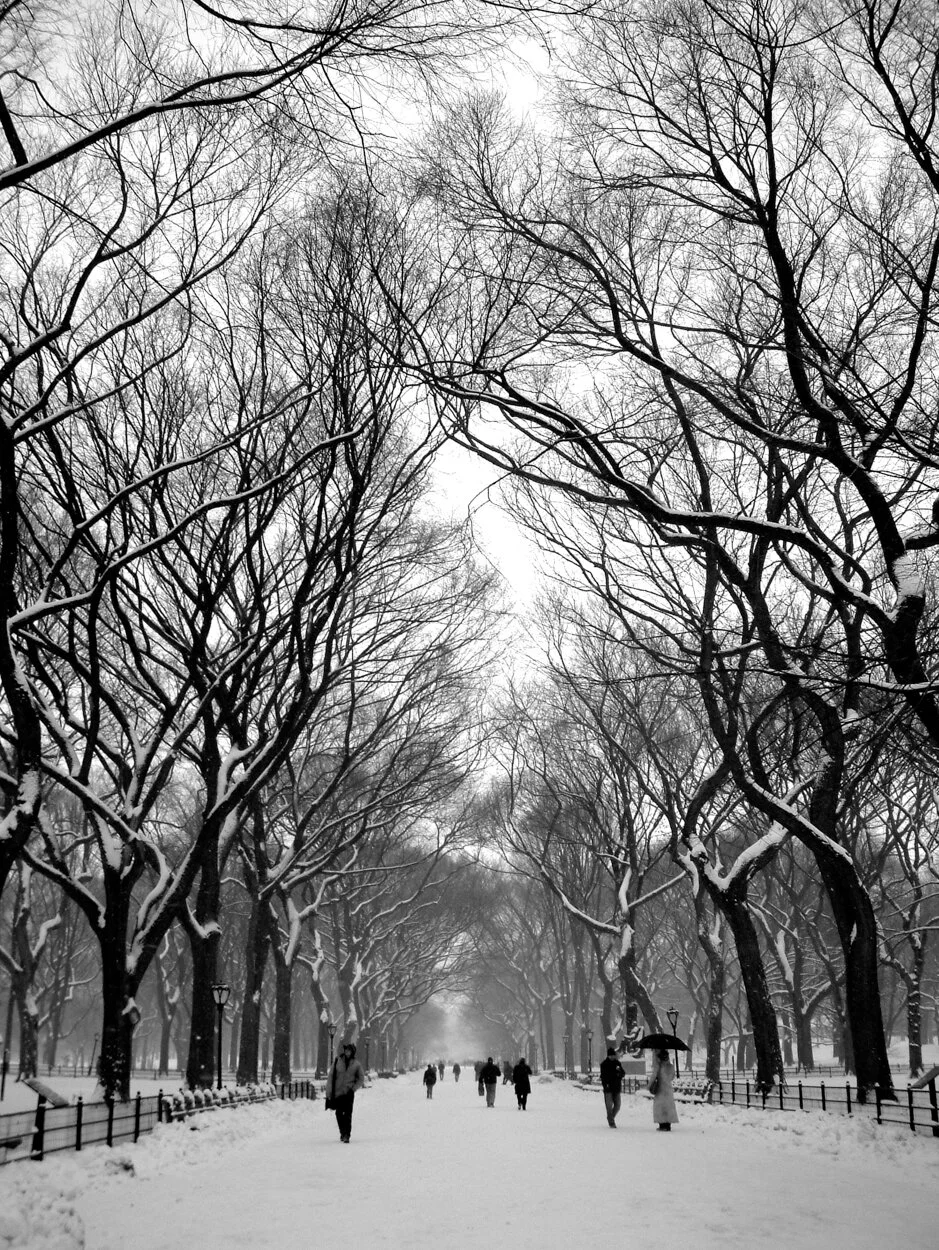 FCentralPark-2.jpg