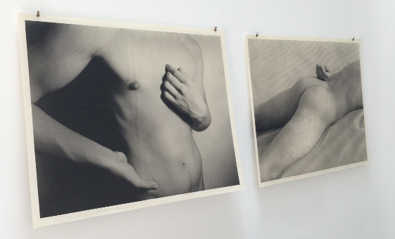 beauty revisited photogravures 