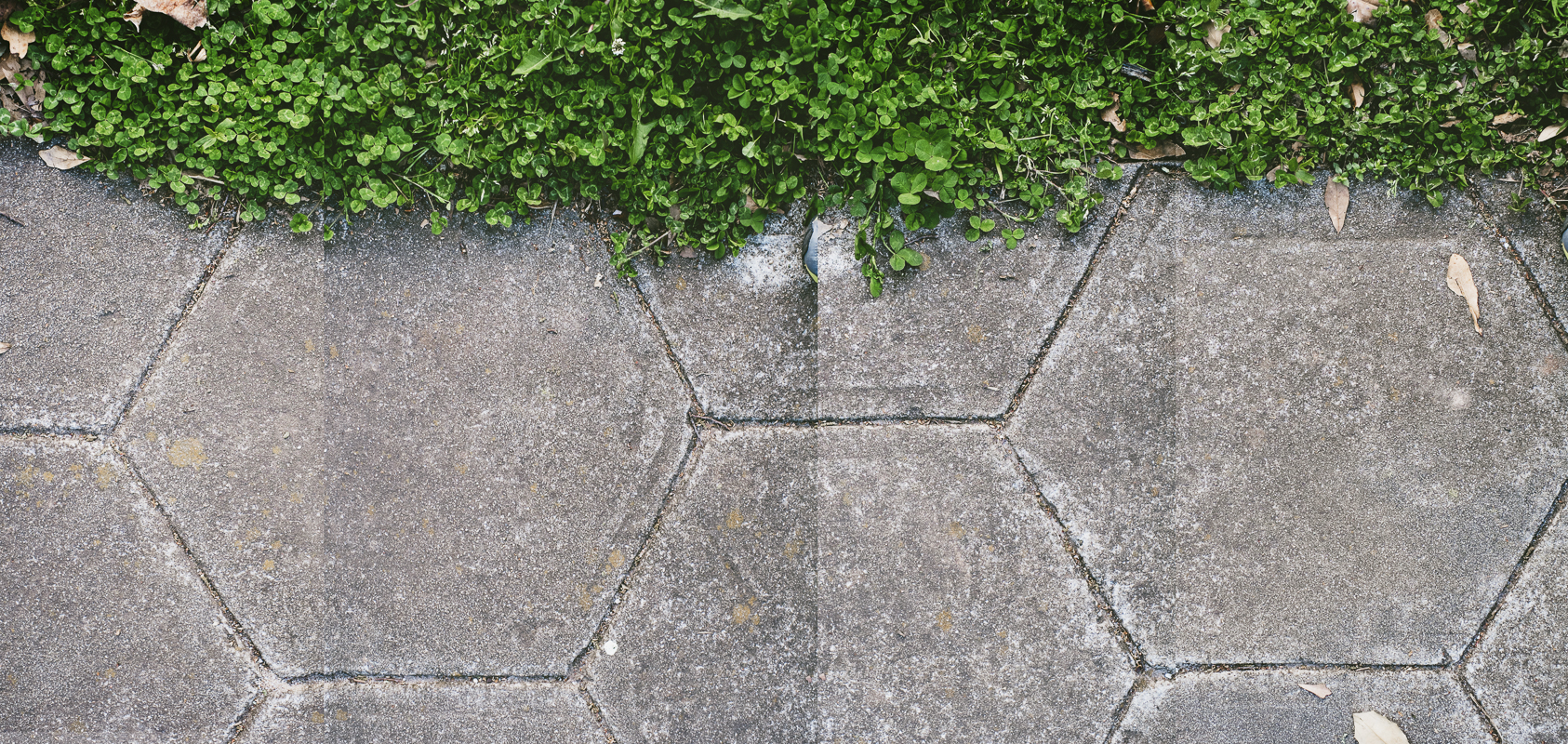 1403-pano-sidewalk.jpg