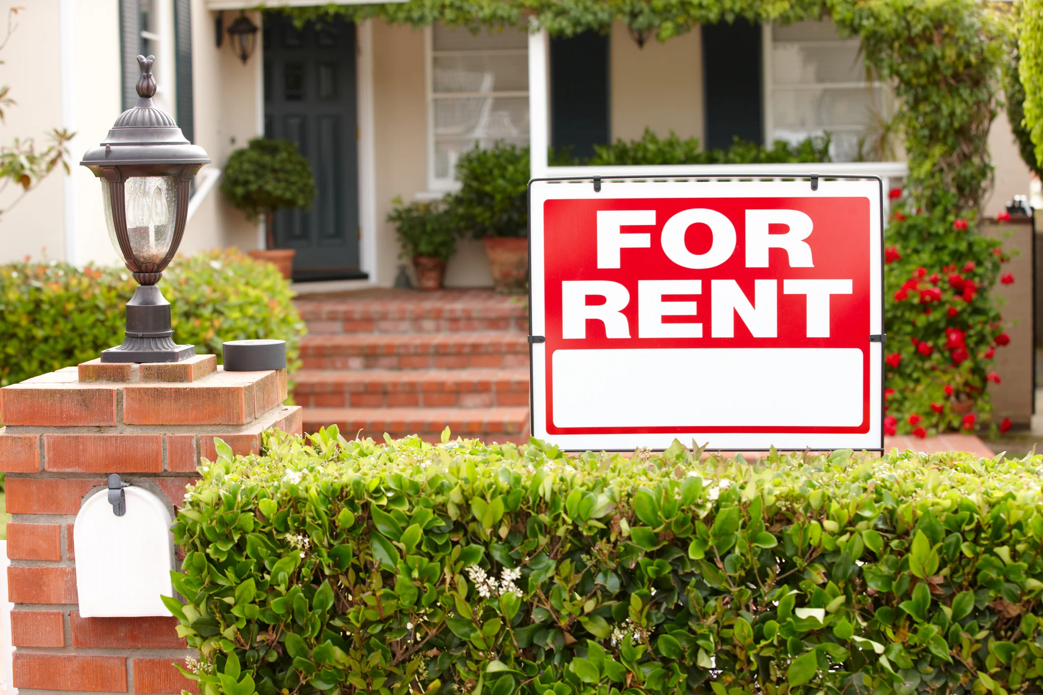 Simple Home Rent Five Steps to Finding the Perfect Rental Home