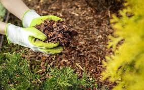 Mulch Delivery