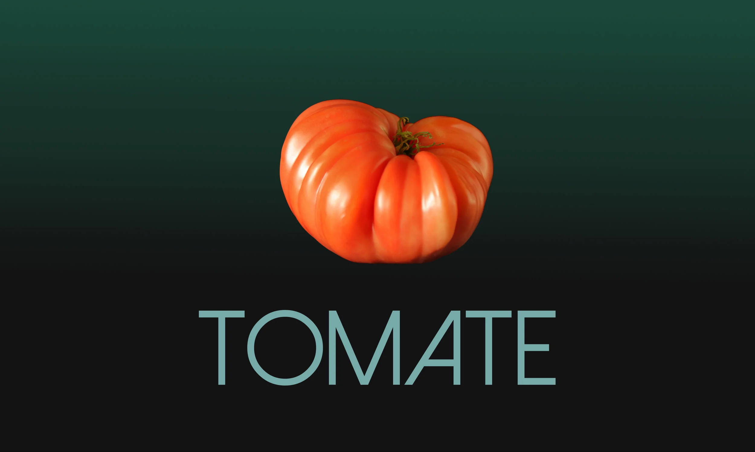 tomate solo.jpg