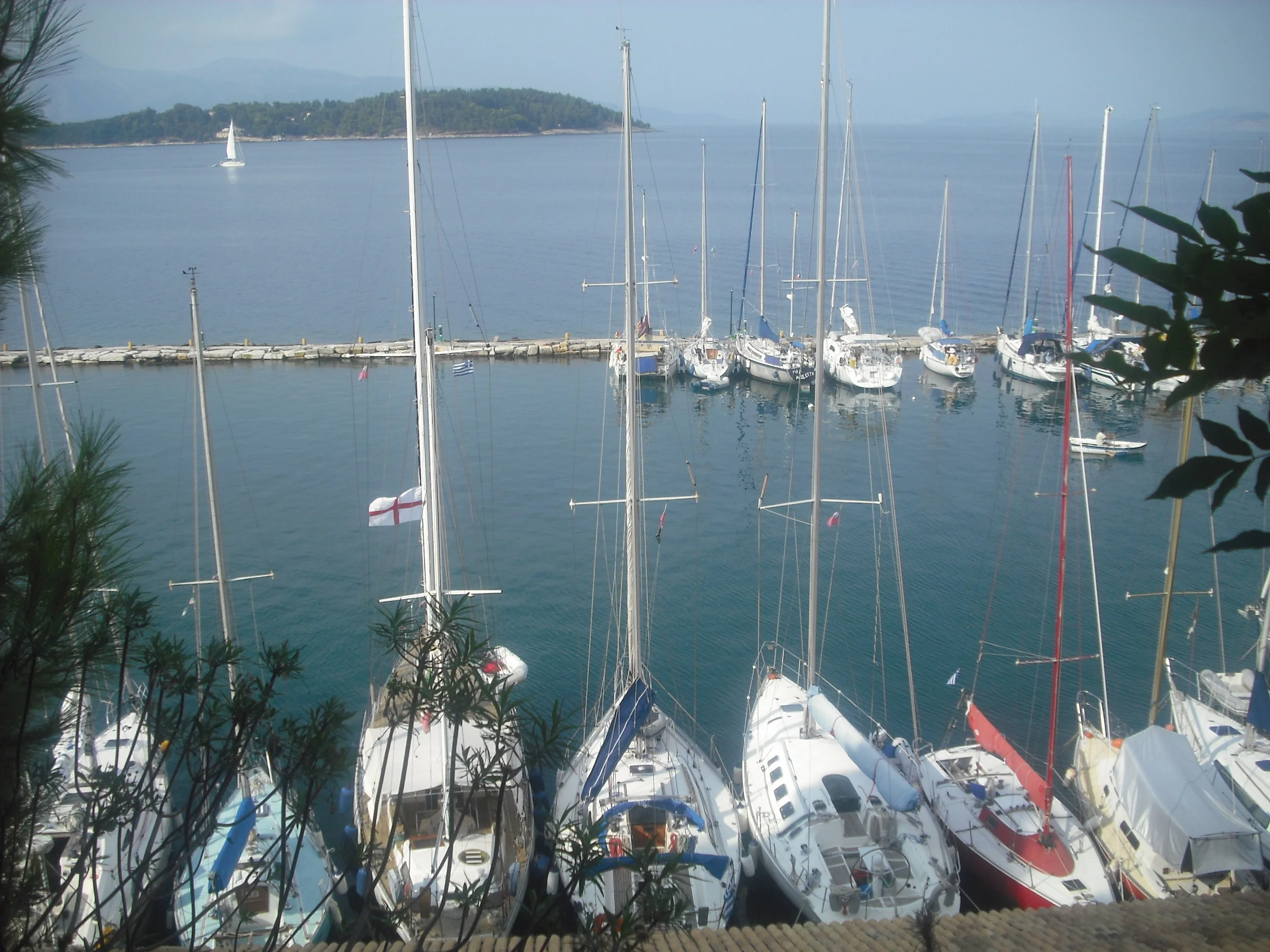DSCF0510.JPG