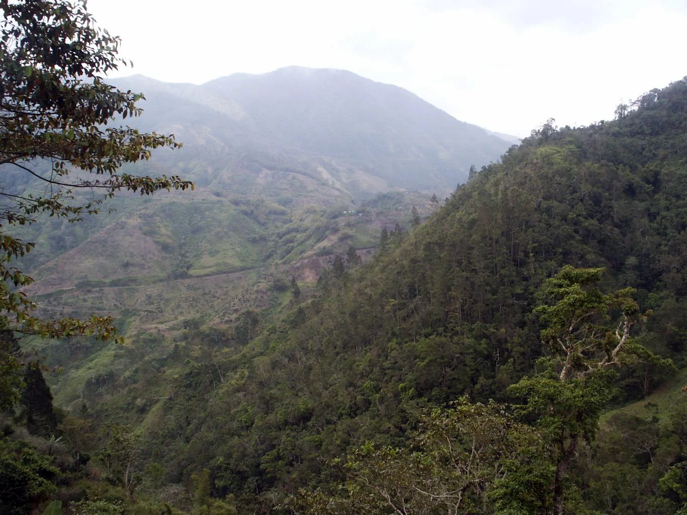 jamaica blue mountains +-29.jpg