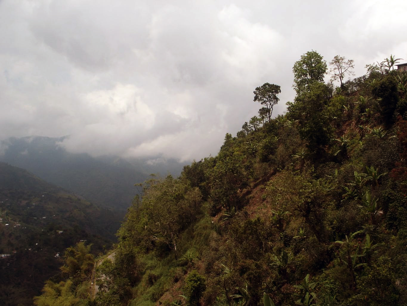 jamaica blue mountains +-43.jpg