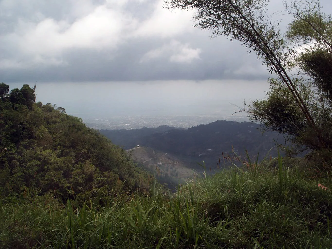 jamaica blue mountains +-47.jpg