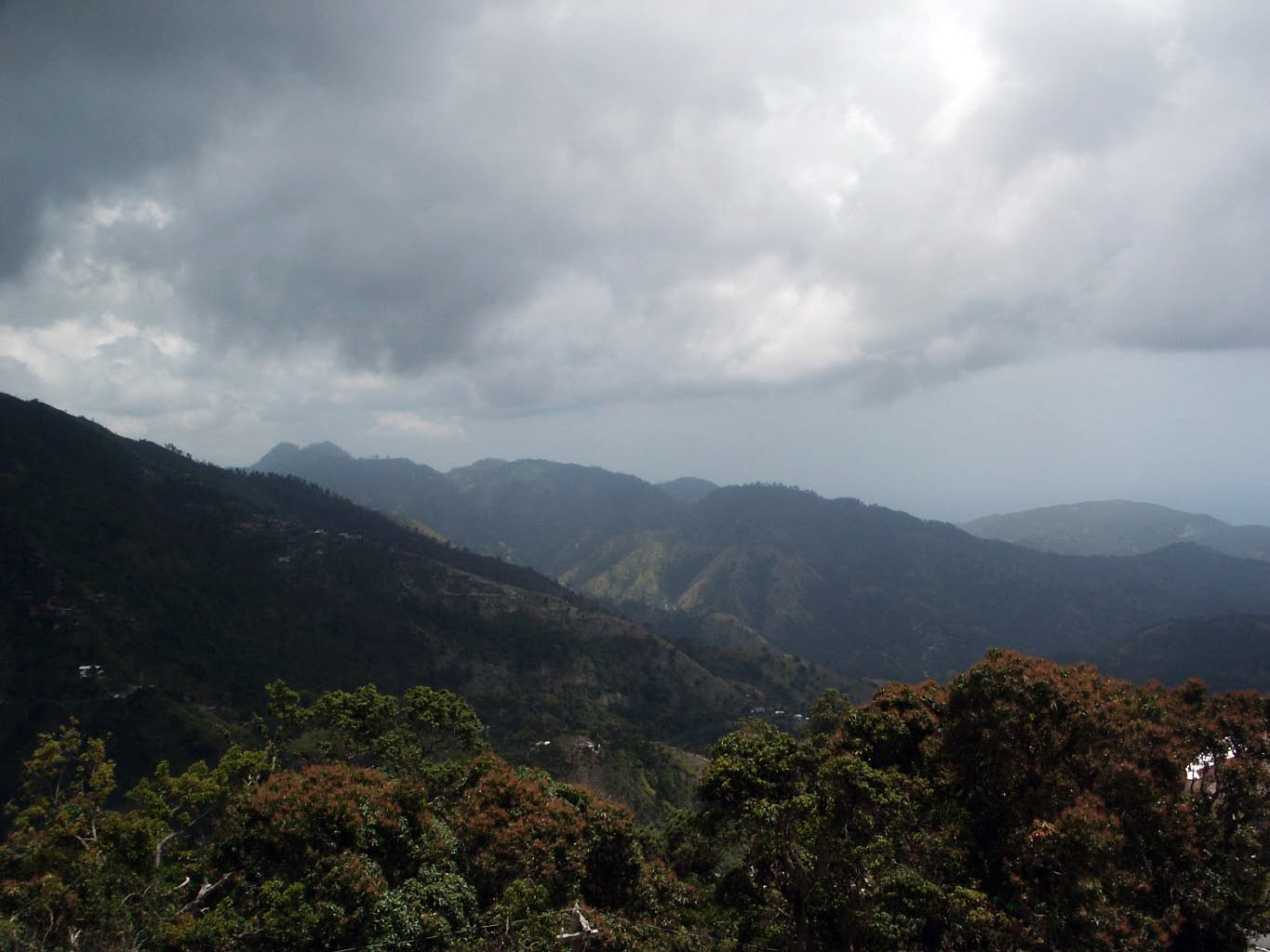 jamaica blue mountains +-58.jpg