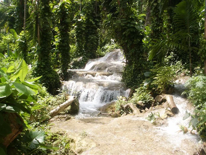 jamaica dunn's and enchanted garden-1.jpg