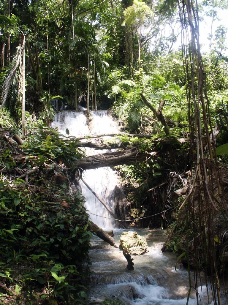 jamaica dunn's and enchanted garden-14.jpg