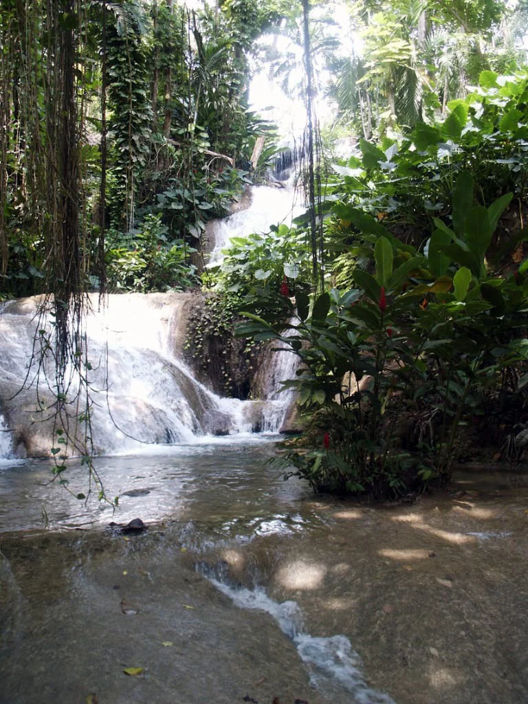 jamaica dunn's and enchanted garden-18.jpg