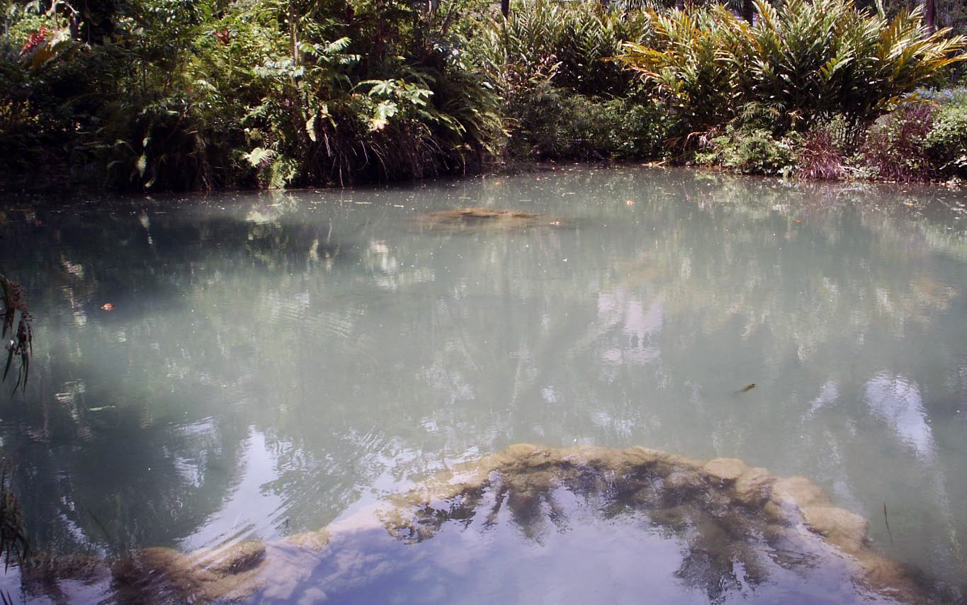 jamaica dunn's and enchanted garden-21.jpg