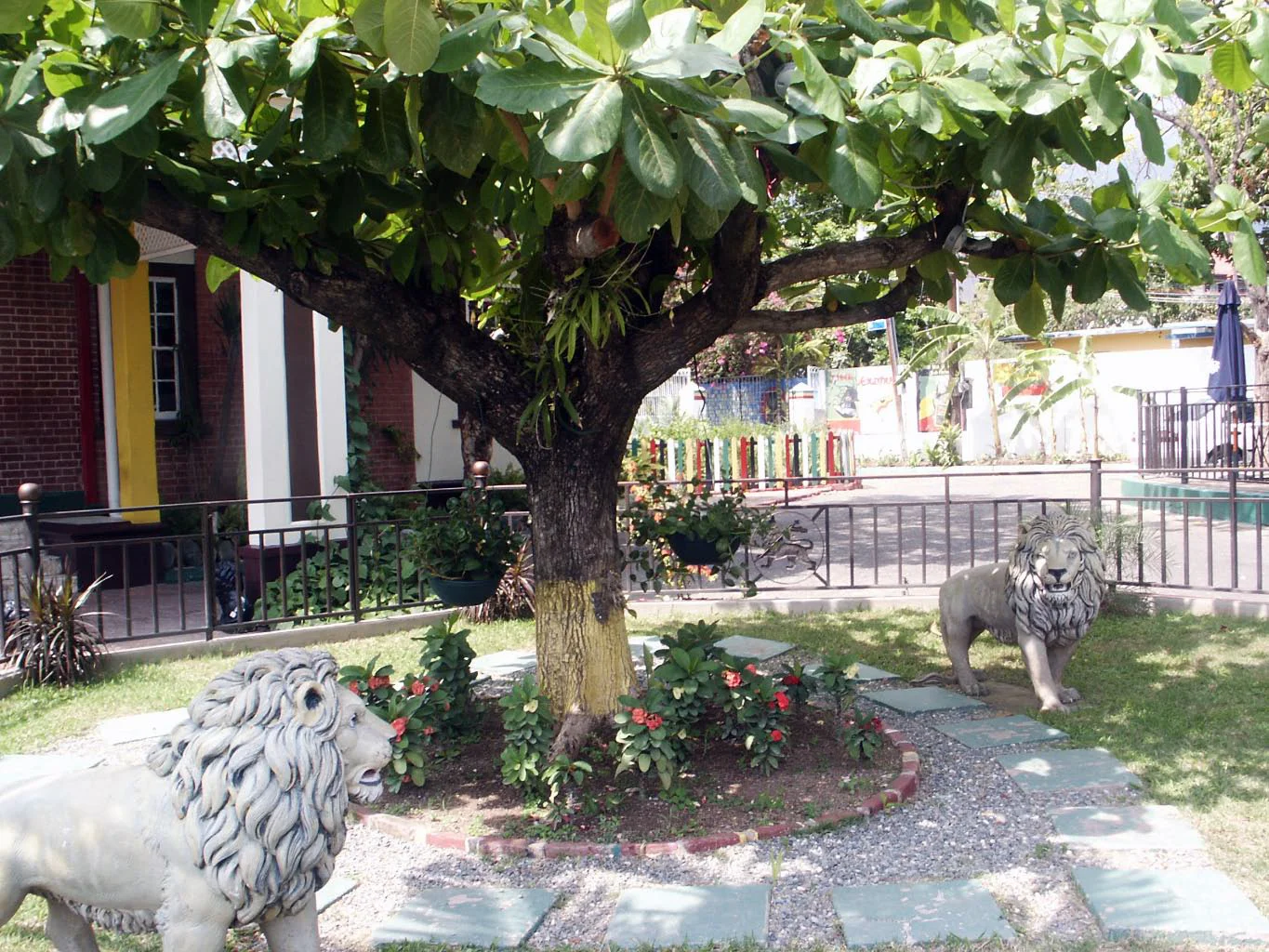 jamaica blue mountains +-66.jpg