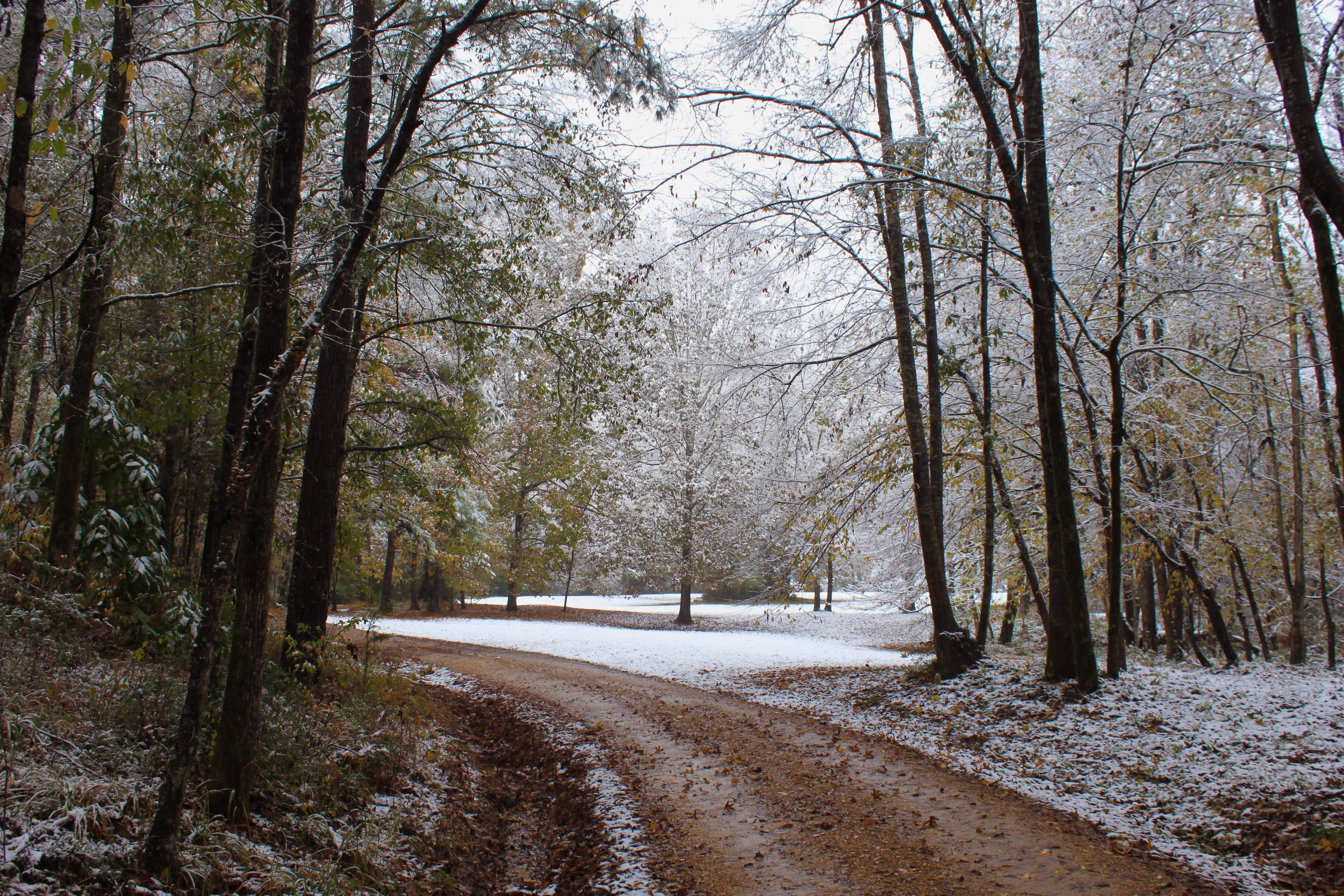 Snow covered country road
