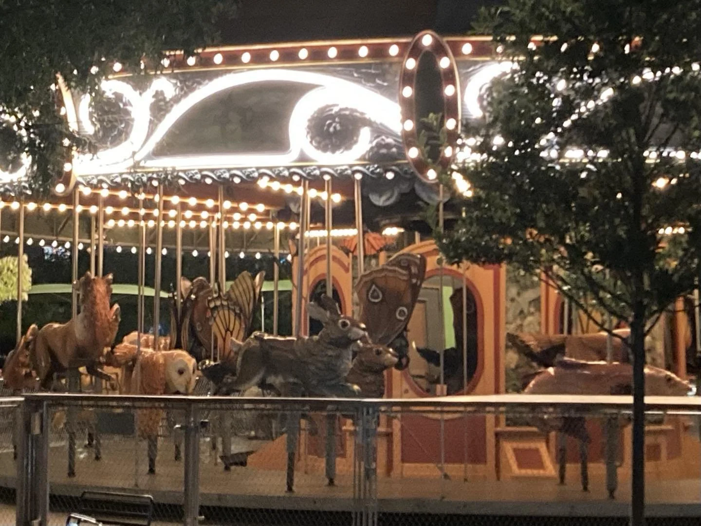 #carouselsatnight #carousels #night #streetphotography #carousel The hare, the moth, and the owl&hellip;which would you pick?