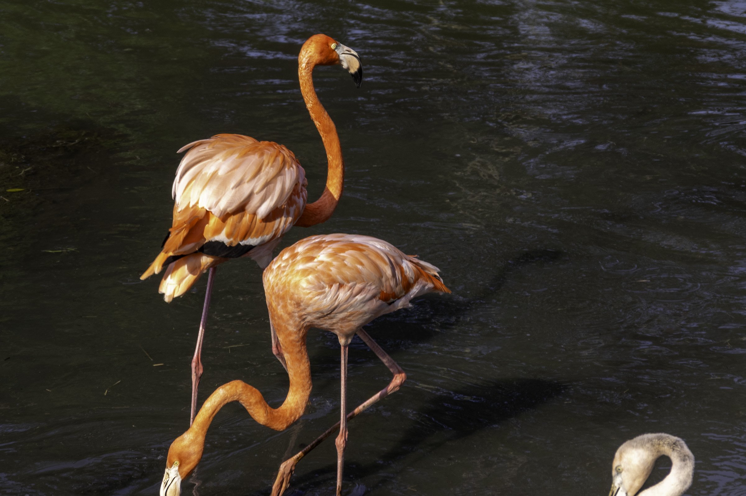 ECerda_-IMGP0682.jpg