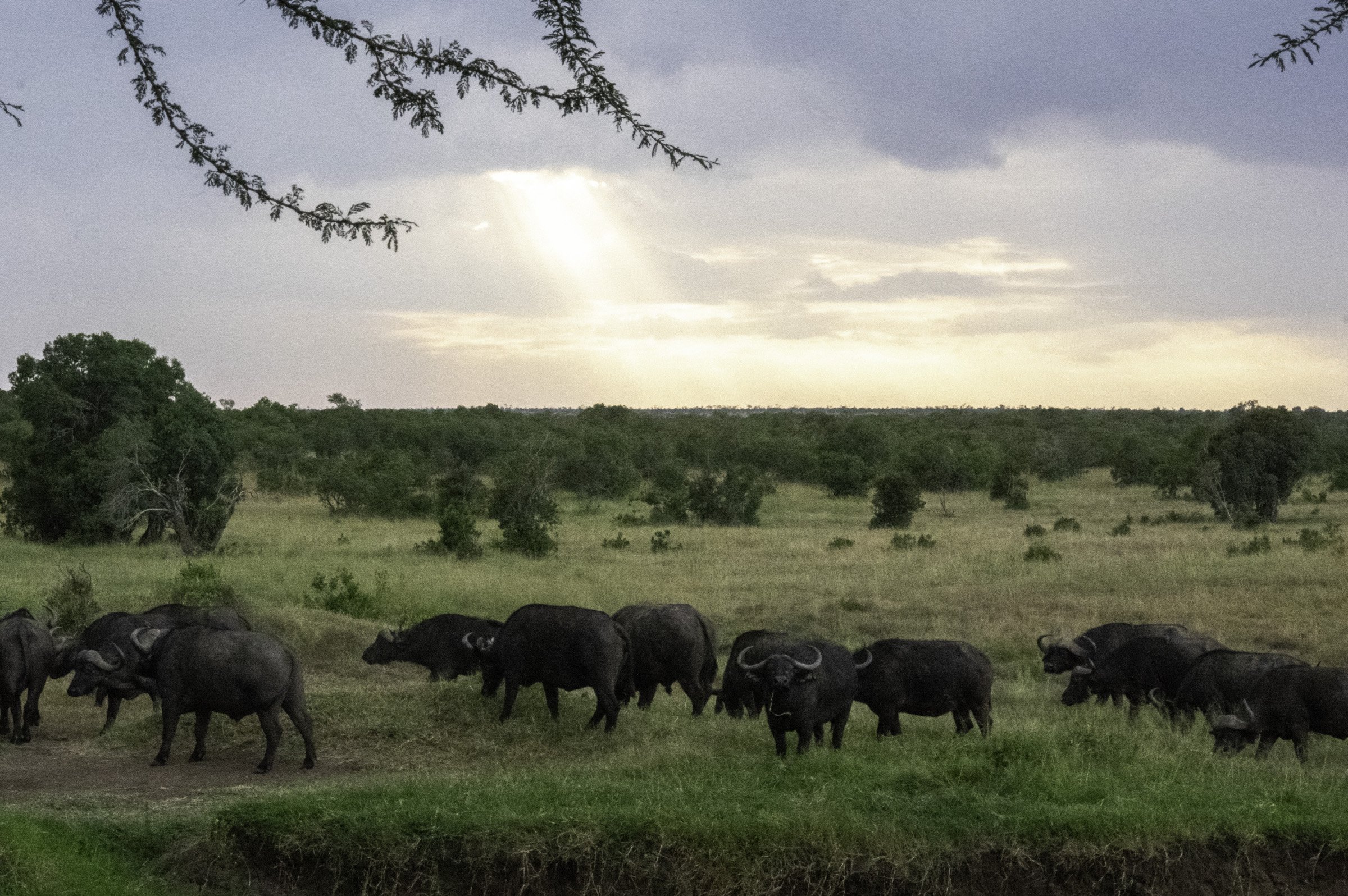 ECerda_RW-IMGP1727-2.jpg