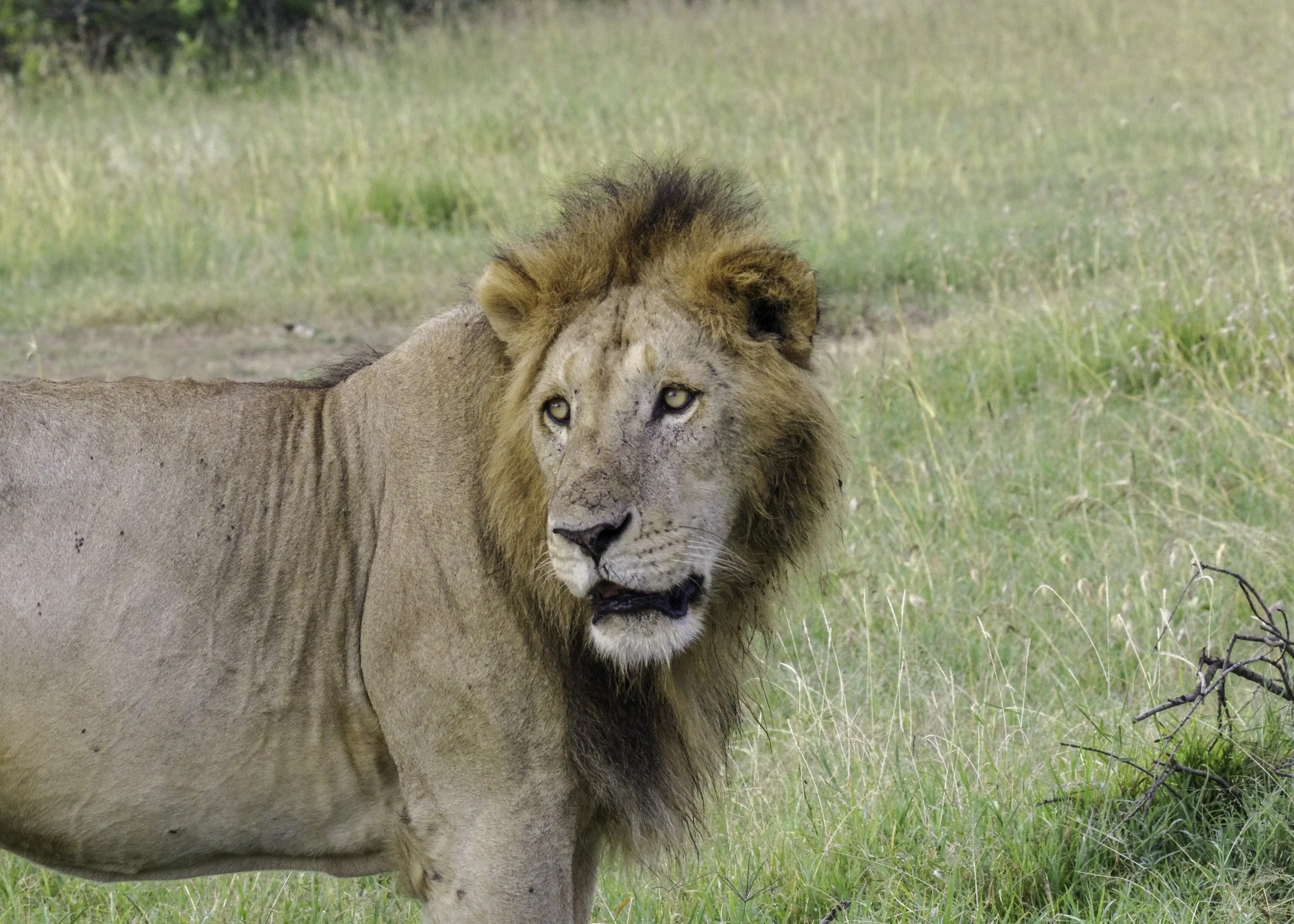 ECerda_RW-IMGP1081.jpg