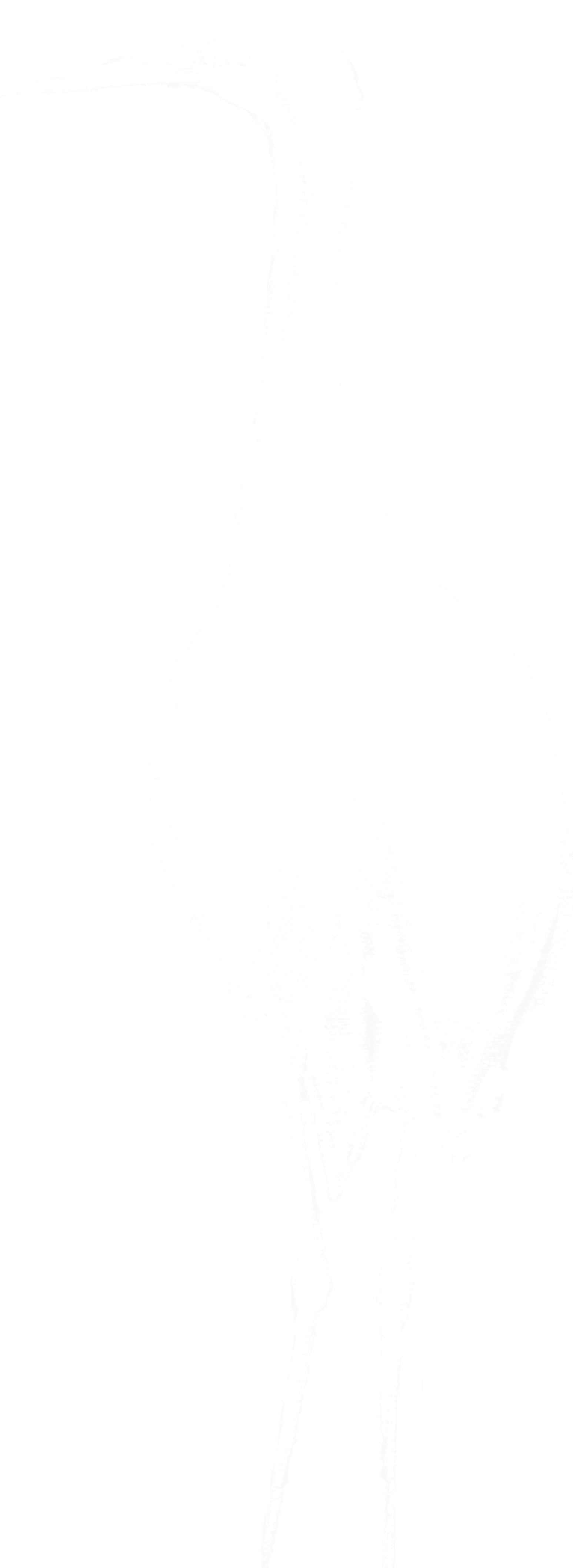 Standing Crane 2.png