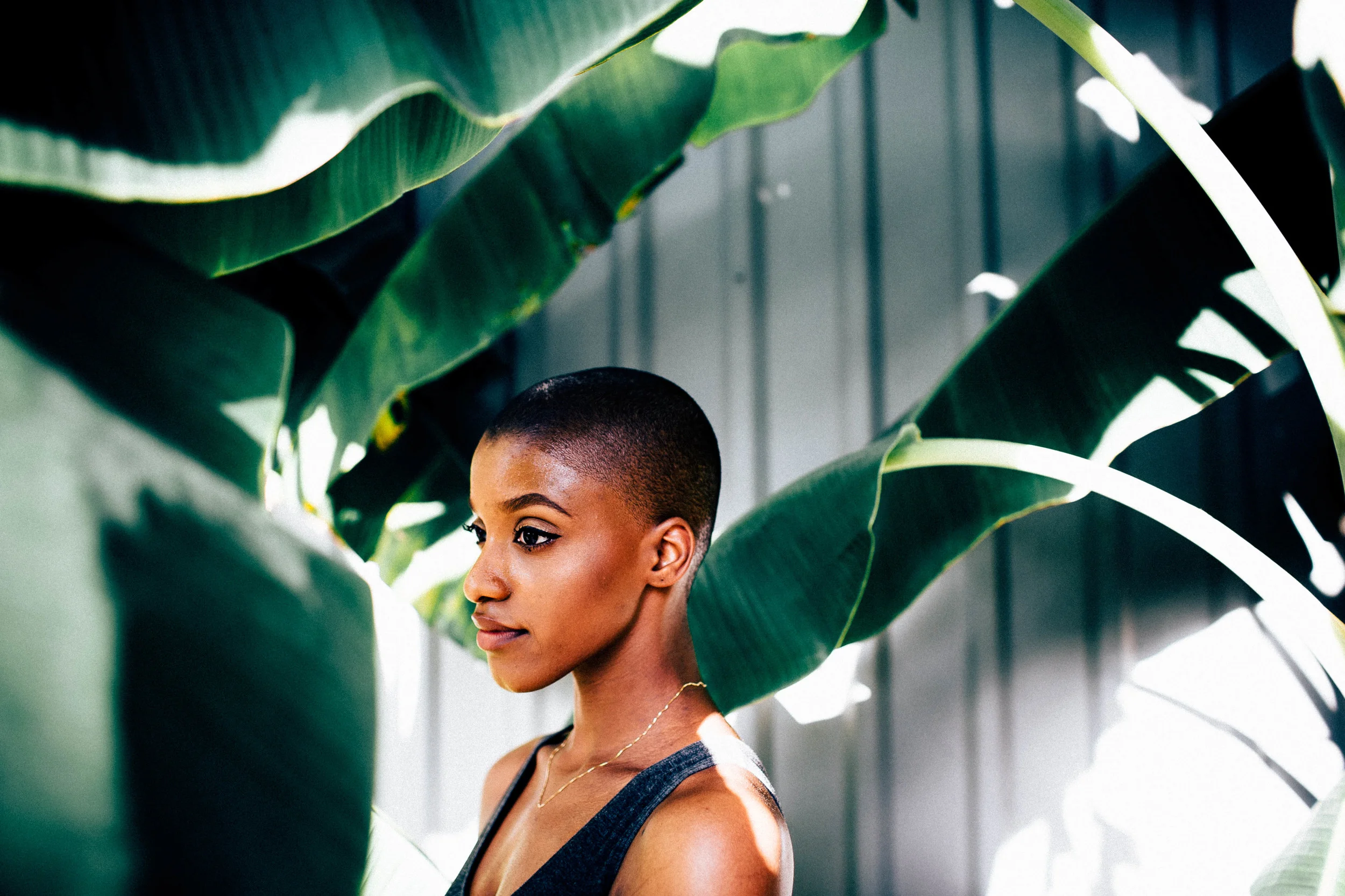 "I'm glad he decided to colour me brown."