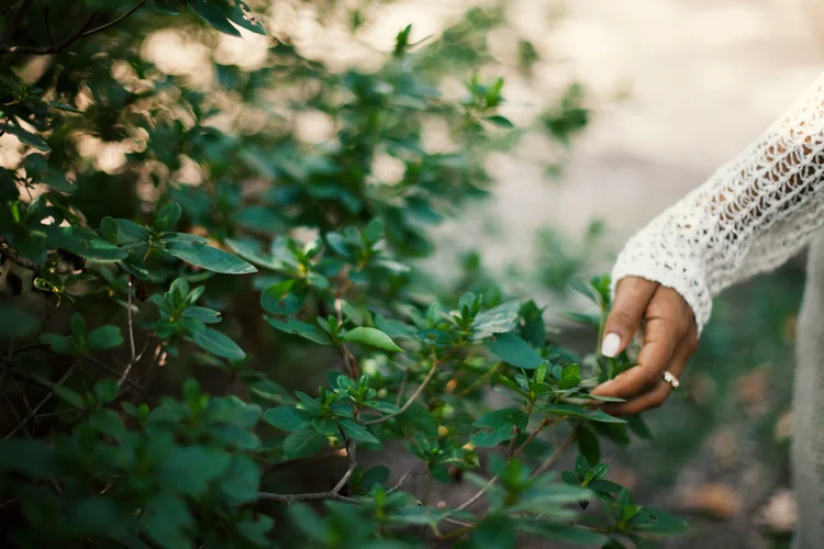 The Art of Letting Go