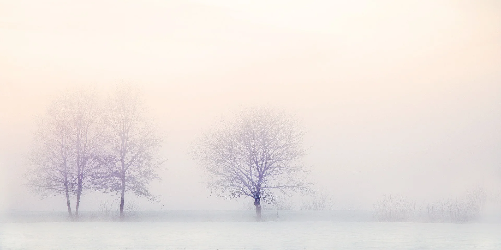 They have cost me more effort than any of my other songs.–Schubert on Winterreise