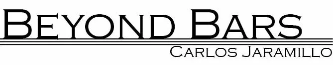 Beyond Bars Header.jpg