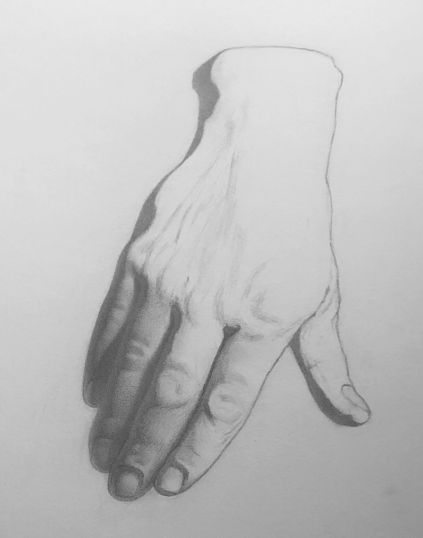 Drawing of a Plaster Cast of a Hand