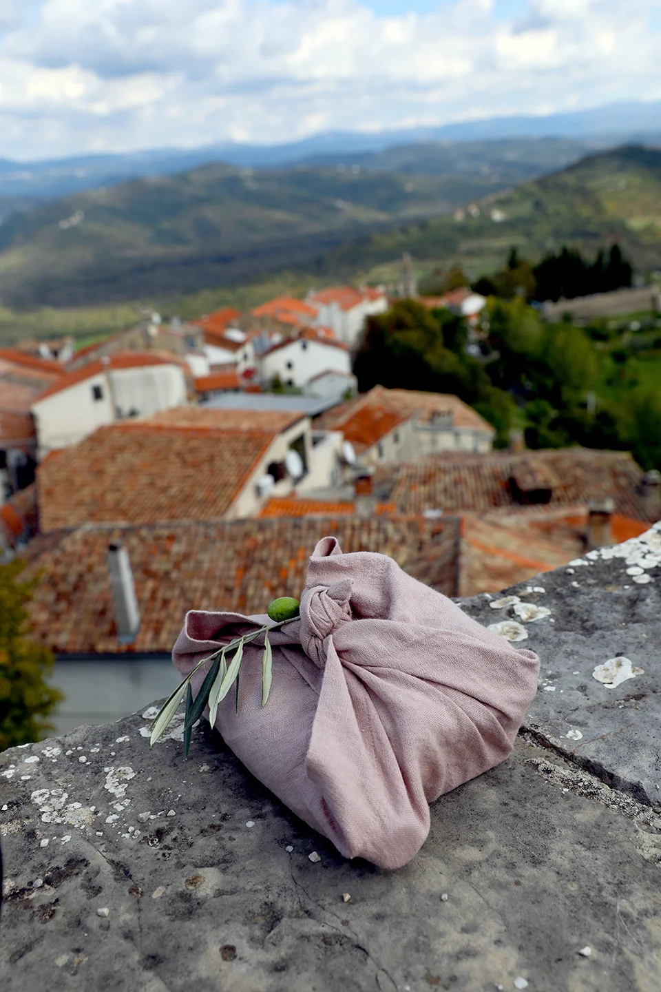 picnic overlooking town of Motovun