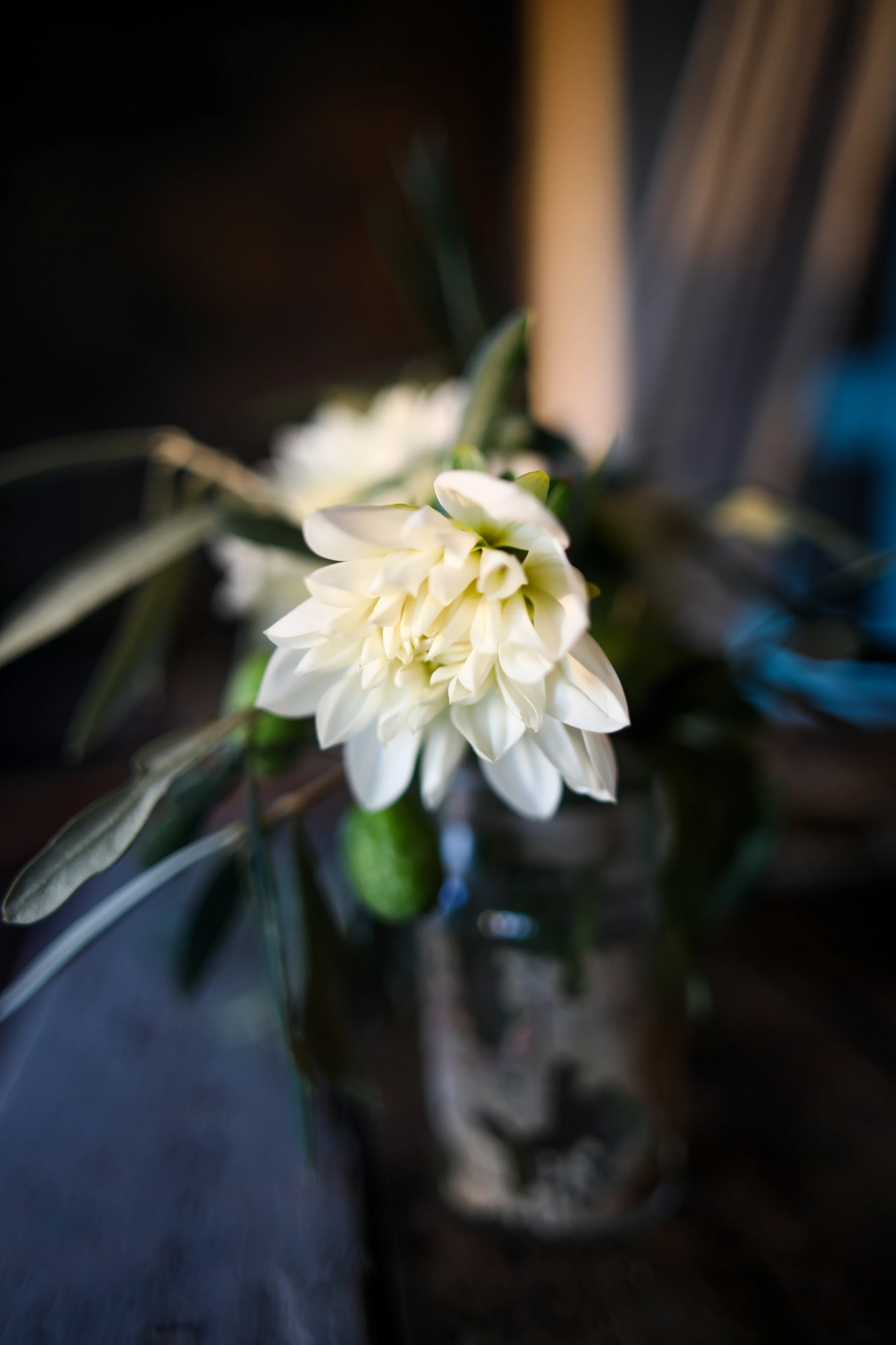 untitled (1 of 1)-6.jpg