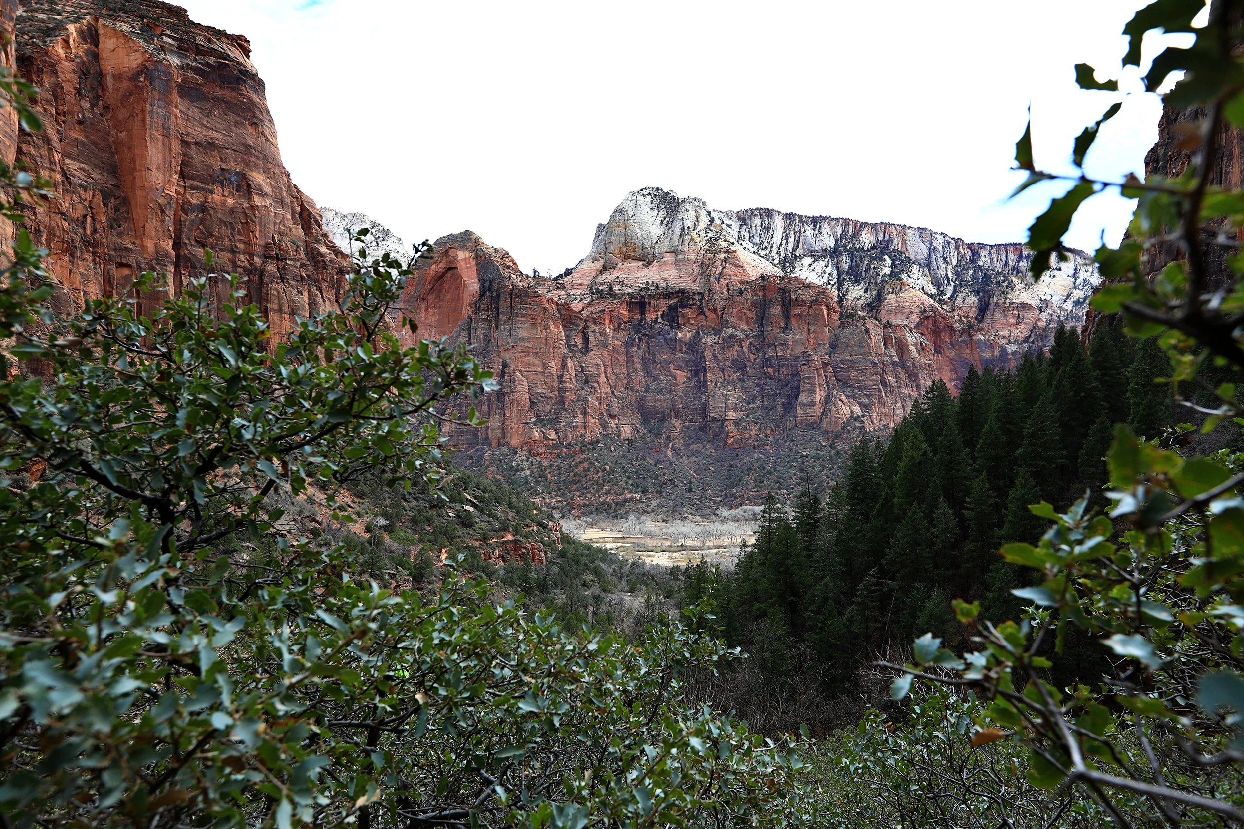 5D4_6116.jpg
